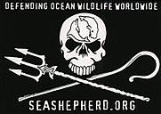 Seashepherd Banner